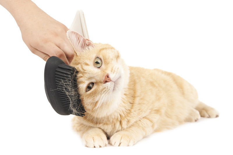 The Pet Brush, Gleener Ultimate Fuzz Remover Pet Grooming Accessory